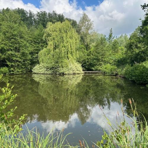 Etang de loisir situé proche des accès, au calme, en retrait