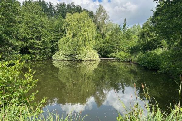 Etang de loisir situé proche des accès, au calme, en retrait