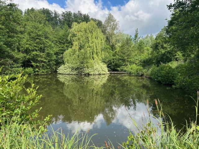 Etang de loisir situé proche des accès, au calme, en retrait