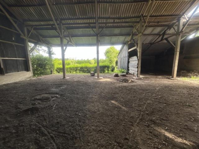 Grange et hangar à transformer en habitation, secteur prisé 