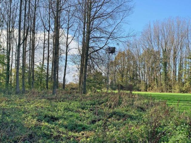 Etang de loisir situé au calme dans la belle campagne amandi