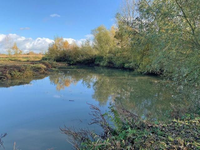 Etang de loisir situé au calme dans la belle campagne amandi