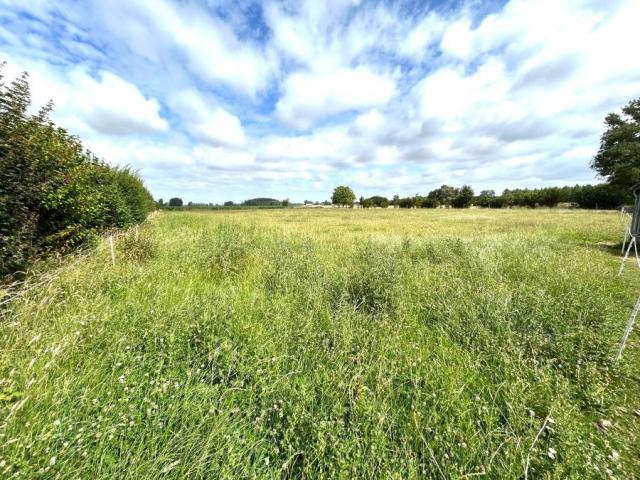 Installations équestres + logement le tout sur une parcelle 