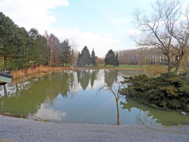 Etang avec hutte de chasse, et chalet d'habitation en plain-