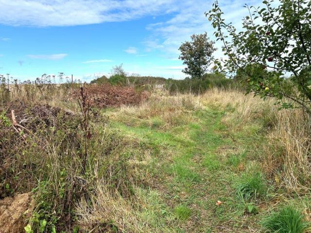 Maison semi individuelle de 127m2 bâtie sur 1963m2 de terrai