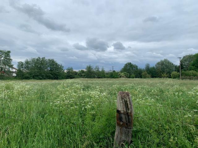 Ferme en U individuelle bâtie sur une parcelle de 11 732m2 !