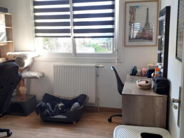 Pavillon individuel de plain-pied sur sous-sol + combles amé