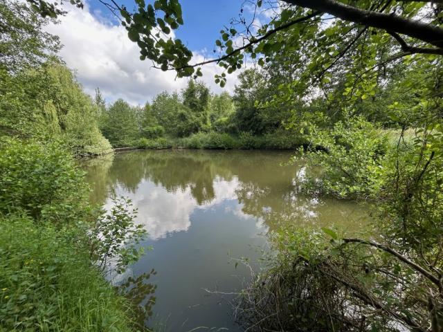 Etang de loisir situé proche des accès, au calme, en retrait