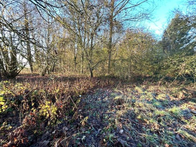 Proche des commodités beau potentiel pour cette maison indiv