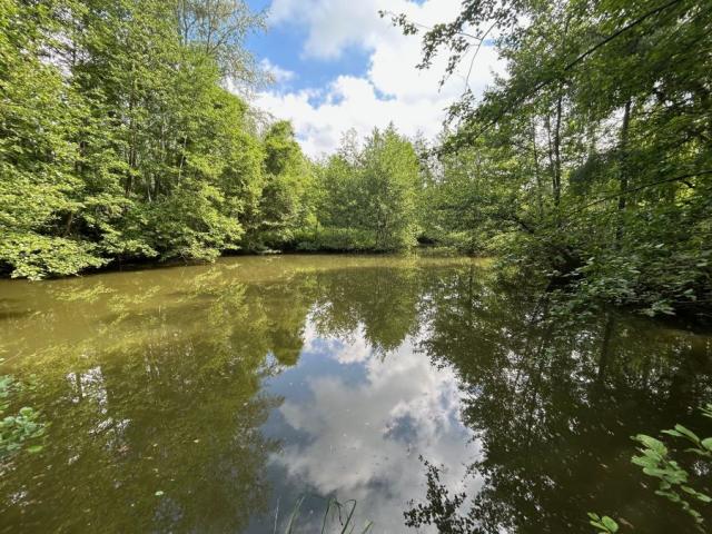 Etang de loisir situé proche des accès, au calme, en retrait
