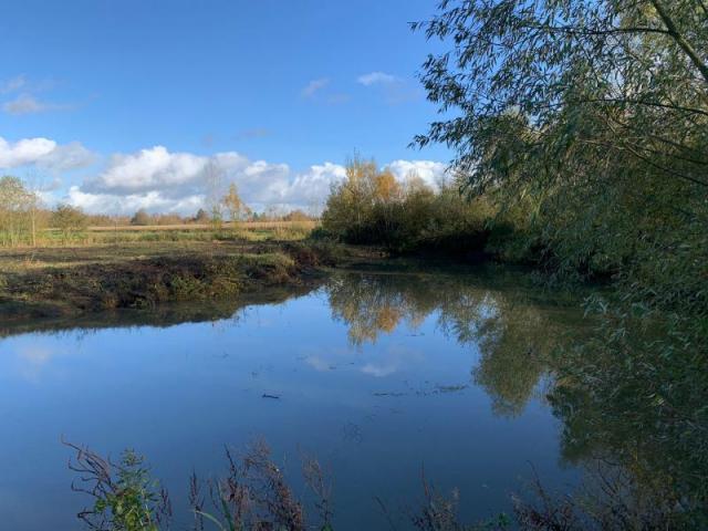 Etang de loisir situé au calme dans la belle campagne amandi