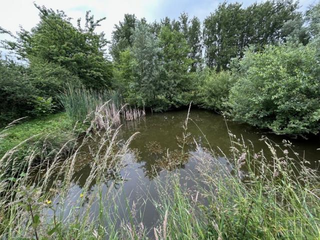 Installations équestres + logement le tout sur une parcelle 