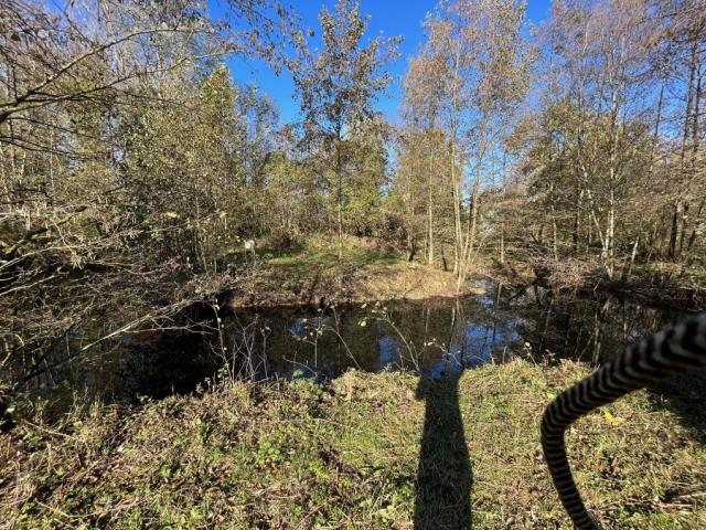Etang de loisir situé proche des accès, au calme, en retrait